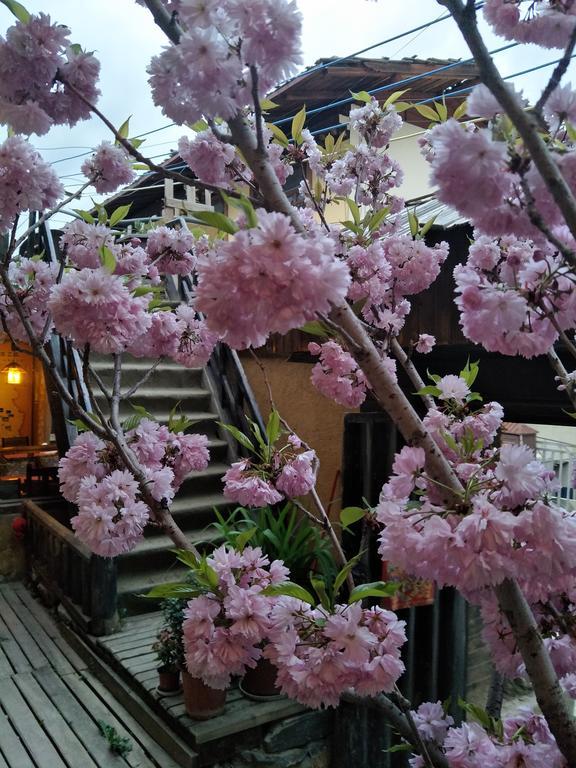 Timeless Inn Sangzsila Kültér fotó